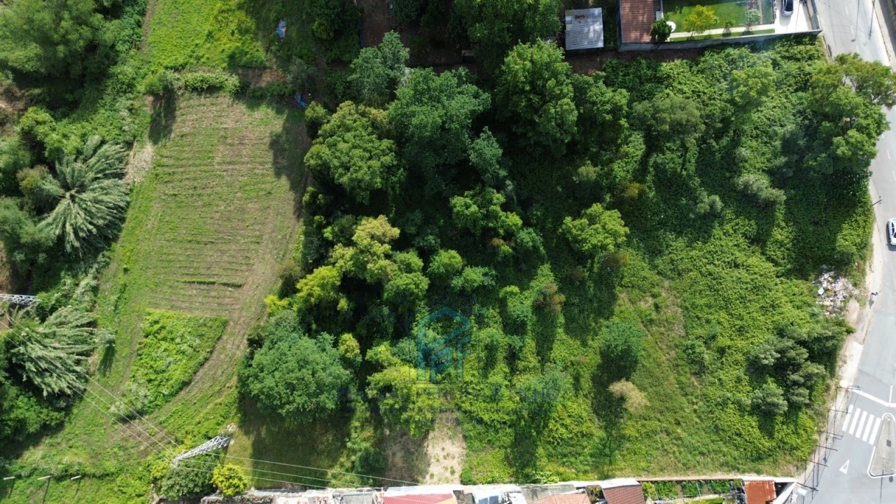 Terreno Agricola ou Rústico para Venda em Baguim do Monte (Rio Tinto) Foto 9