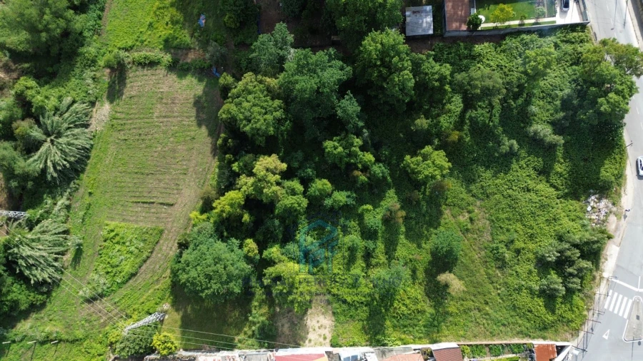 Terreno Agricola ou Rústico para Venda em Baguim do Monte (Rio Tinto) Foto 9