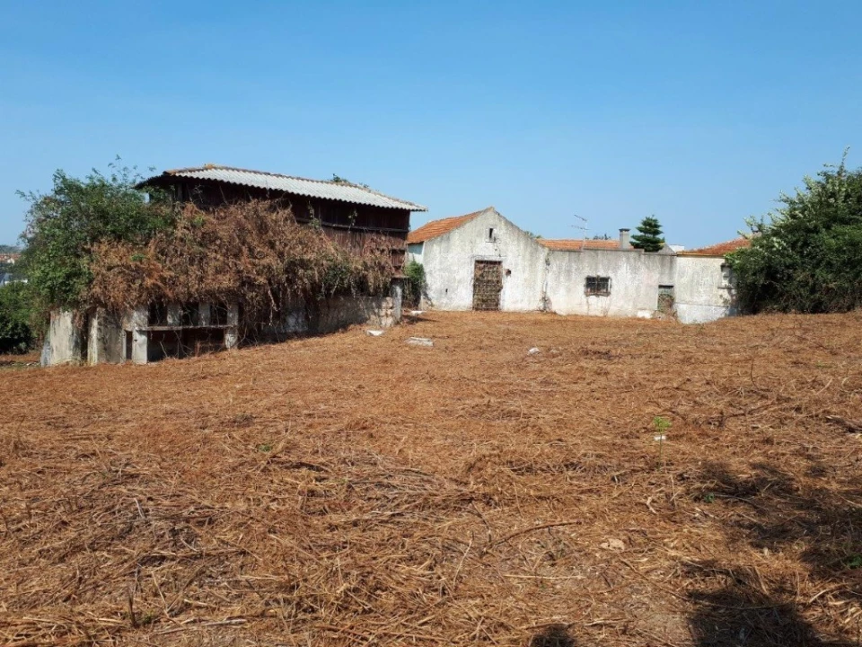 Quinta para Venda em Oliveira do Douro Foto 40