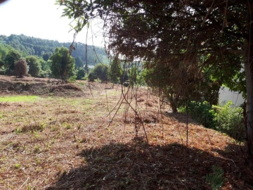 Quinta para Venda em Oliveira do Douro