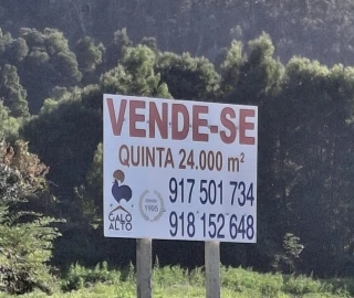 Quinta para Venda em Oliveira do Douro