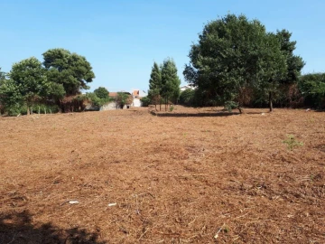 Quinta para Venda em Oliveira do Douro