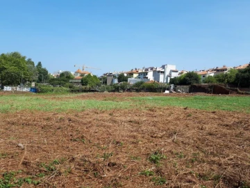 Quinta para Venda em Oliveira do Douro