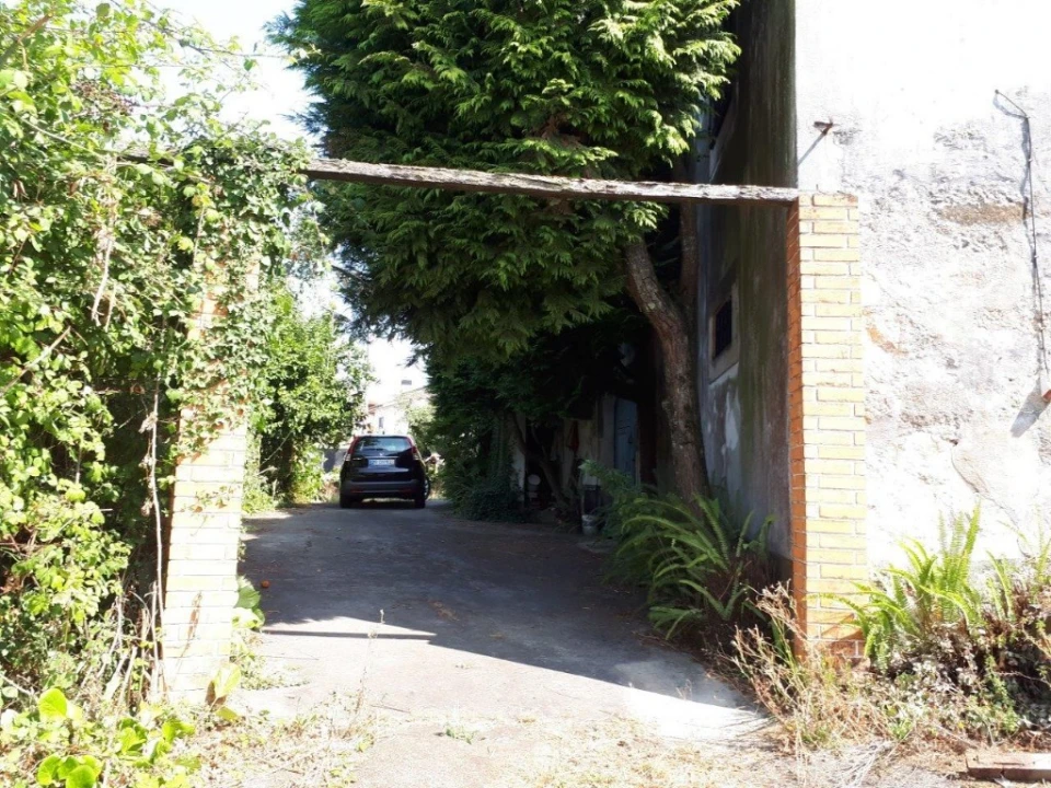 Quinta para Venda em Oliveira do Douro Foto 38