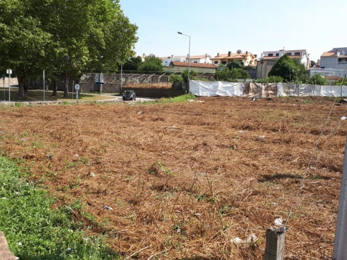 Quinta para Venda em Oliveira do Douro Foto 35