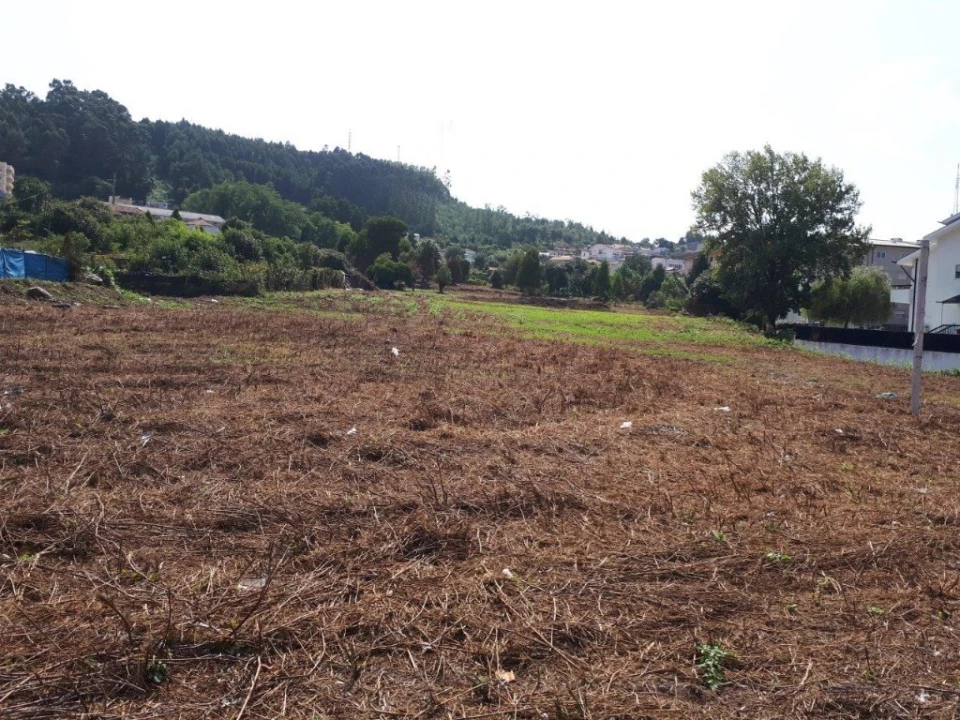 Quinta para Venda em Oliveira do Douro Foto 36