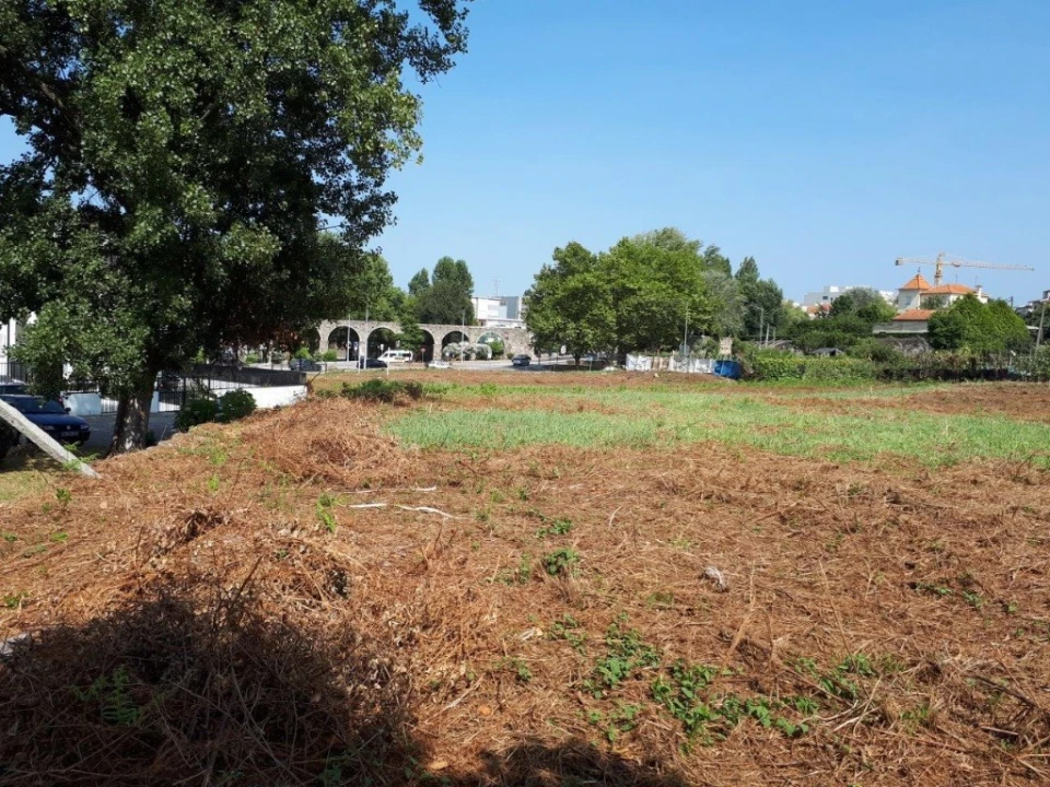 Quinta para Venda em Oliveira do Douro Foto 47