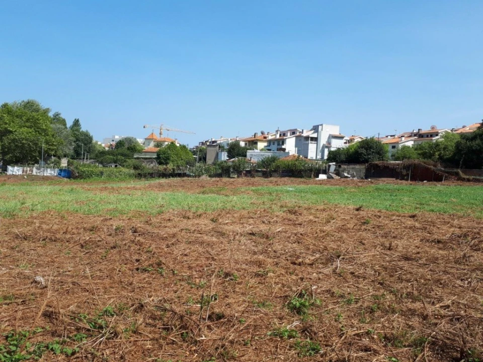 Quinta para Venda em Oliveira do Douro Foto 48