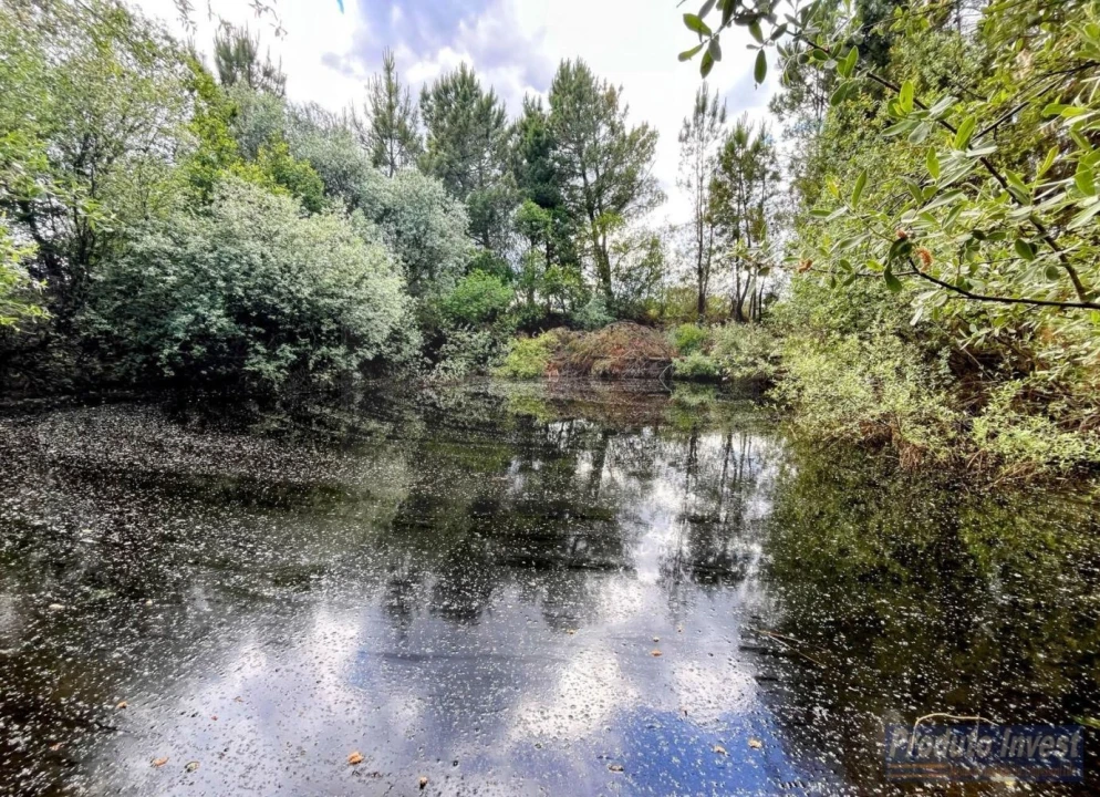 Quinta para Venda em Soalheira Foto 3