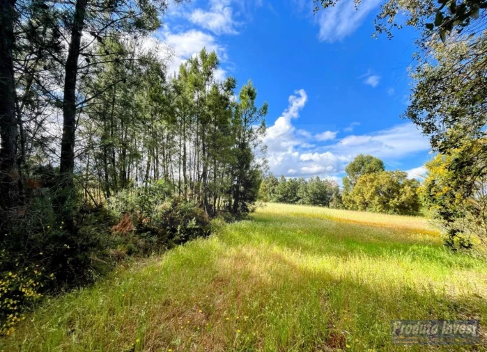 Quinta para Venda em Soalheira Foto 2
