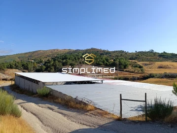 Quinta para Venda em Orjais