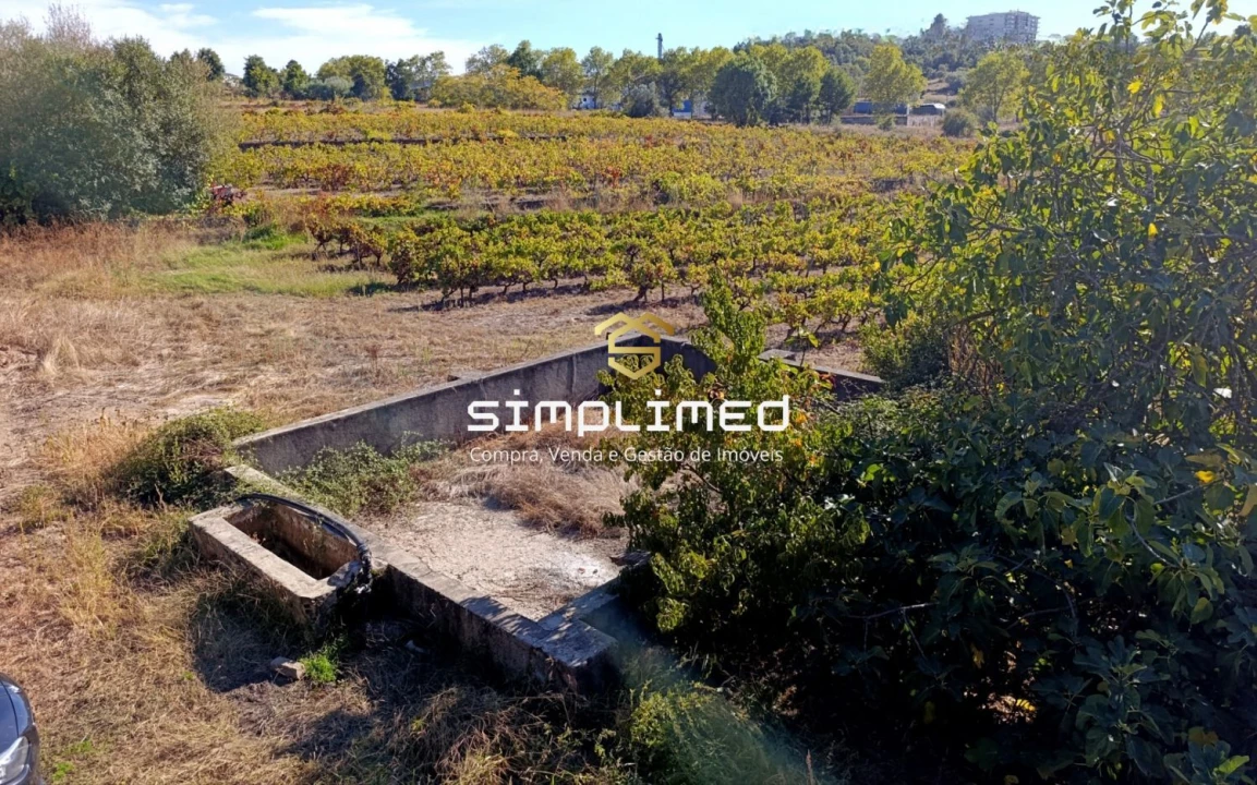 Quinta T1 para Venda em Belmonte e Colmeal da Torre Foto 3