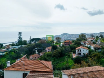 Moradia T3 para Venda em Monte