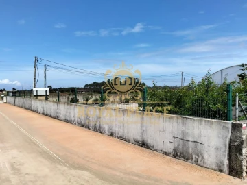 Terreno para Venda em Ovar, São João, Arada e São Vicente de Pereira Jusã