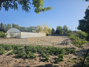 Terreno para Venda em Ovar, São João, Arada e São Vicente de Pereira Jusã