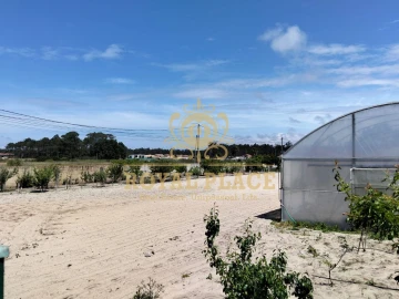 Terreno para Venda em Ovar, São João, Arada e São Vicente de Pereira Jusã