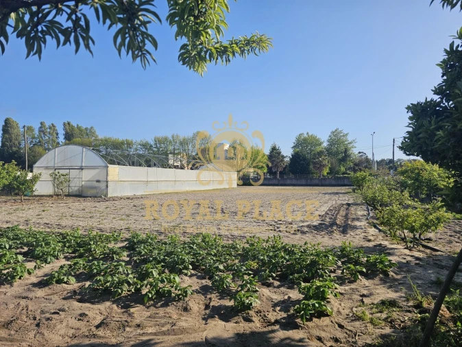 Terreno para Venda em Ovar, São João, Arada e São Vicente de Pereira Jusã Foto 6