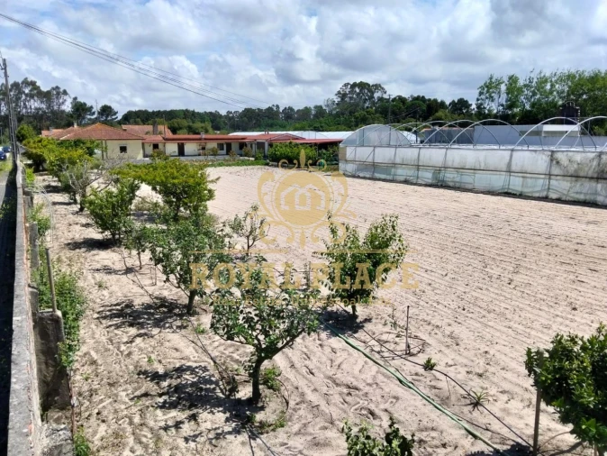 Terreno para Venda em Ovar, São João, Arada e São Vicente de Pereira Jusã Foto 5