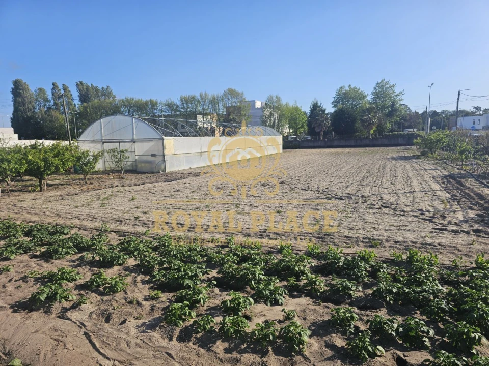 Terreno para Venda em Ovar, São João, Arada e São Vicente de Pereira Jusã Foto 1