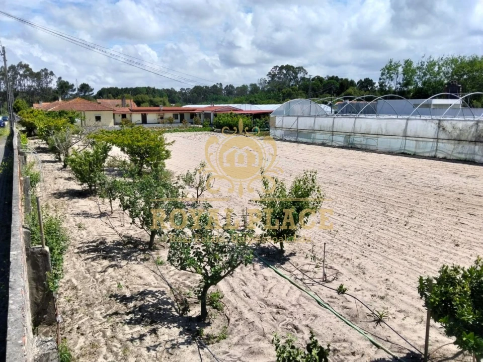 Terreno para Venda em Ovar, São João, Arada e São Vicente de Pereira Jusã Foto 5