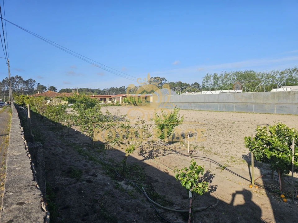 Terreno para Venda em Ovar, São João, Arada e São Vicente de Pereira Jusã Foto 2