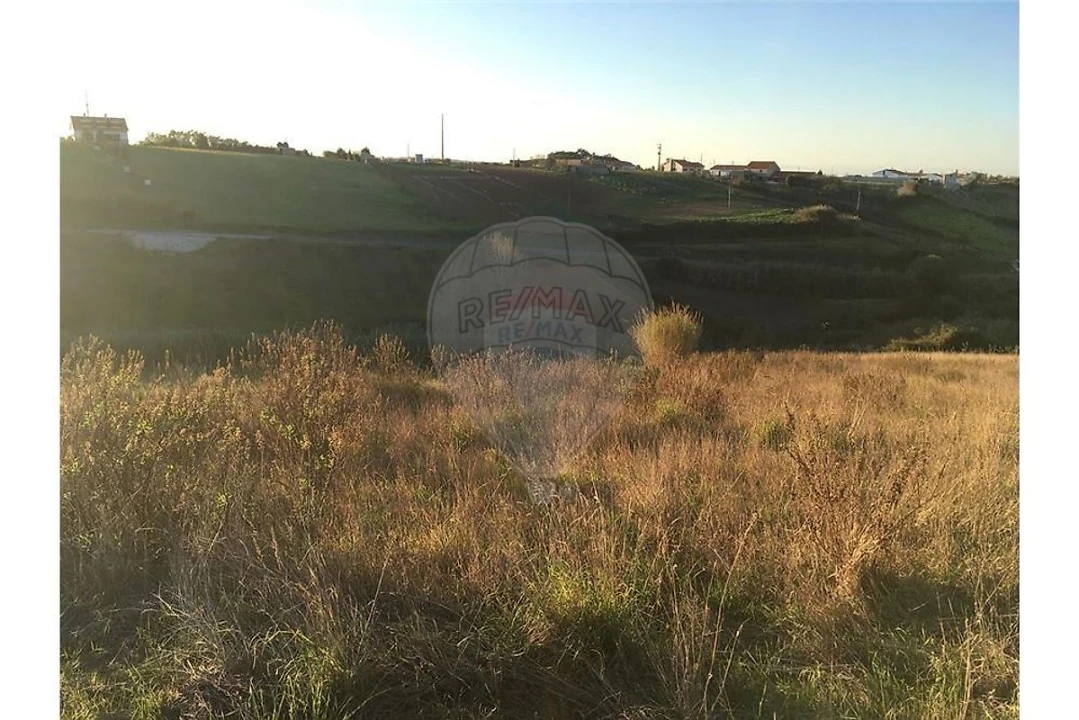 Terreno para Venda em Cela Foto 2