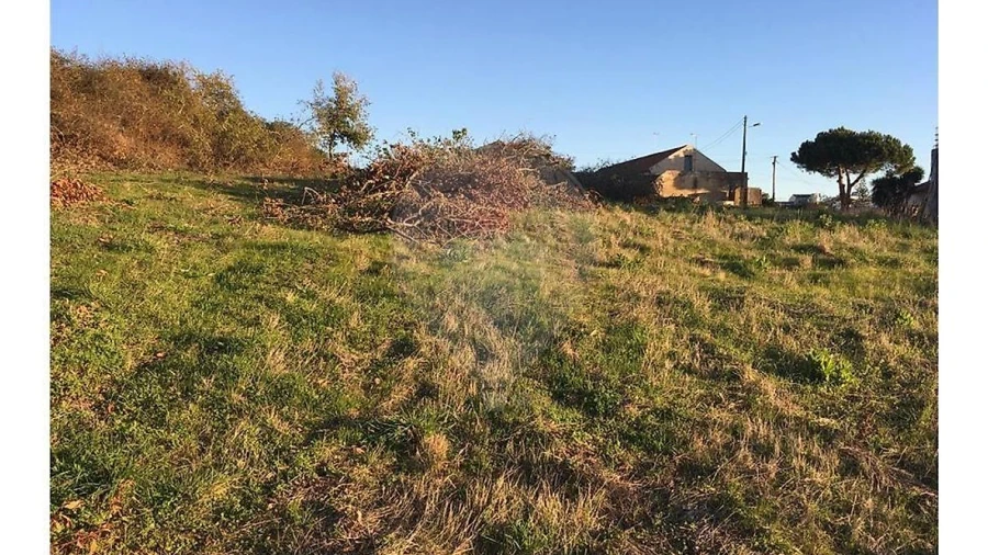 Terreno para Venda em Cela