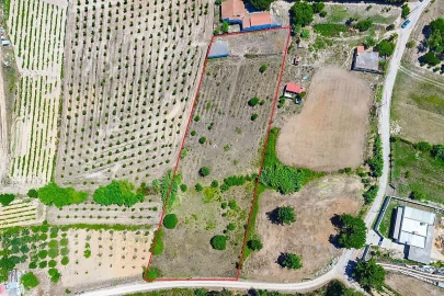 Quinta T
           para Venda em Pontevel