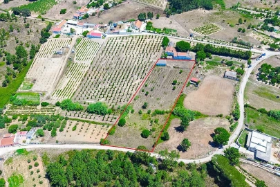 Quinta T
           para Venda em Pontevel