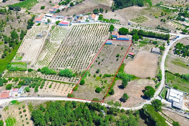 Quinta T
           para Venda em Pontevel Foto 8