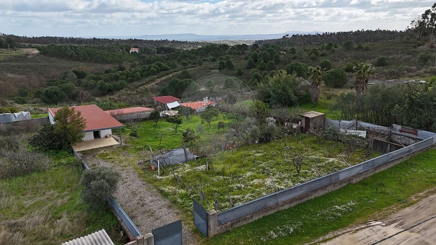Terreno para Venda em Castelo Branco Foto 10