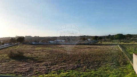 Terreno para Venda em Castelo Branco