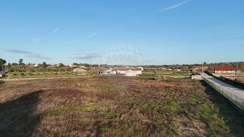 Terreno para Venda em Castelo Branco
