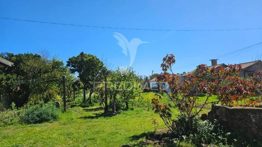 Moradia T3 para Venda em Negreiros e Chavão Foto 6