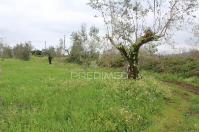 Terreno para Venda em Pussos São Pedro