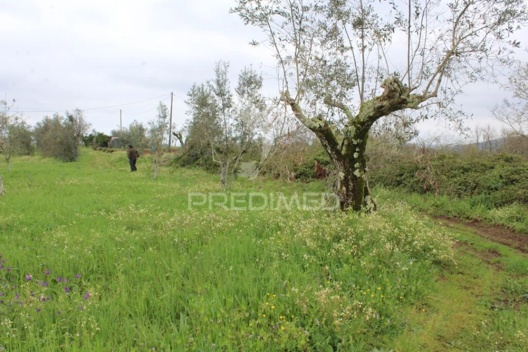 Terreno para Venda em Pussos São Pedro Foto 3