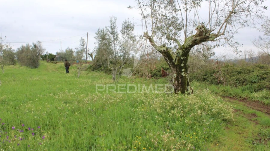 Terreno para Venda em Pussos São Pedro
