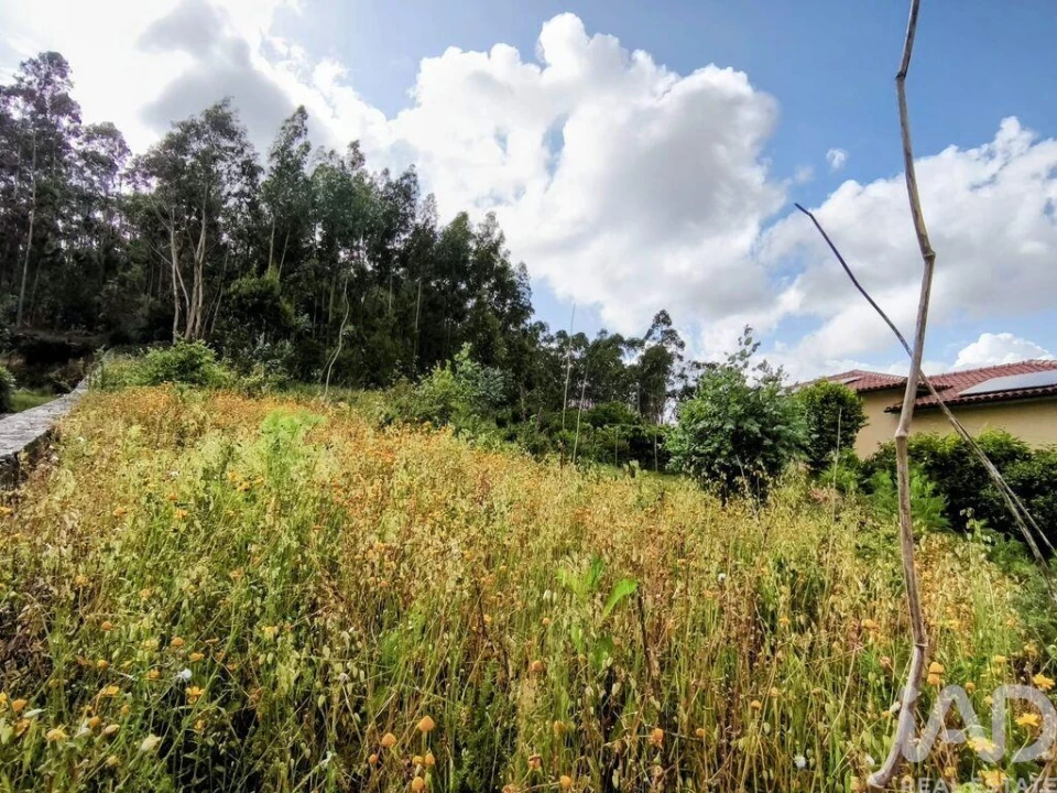 Terreno para Venda em Mujães Foto 7