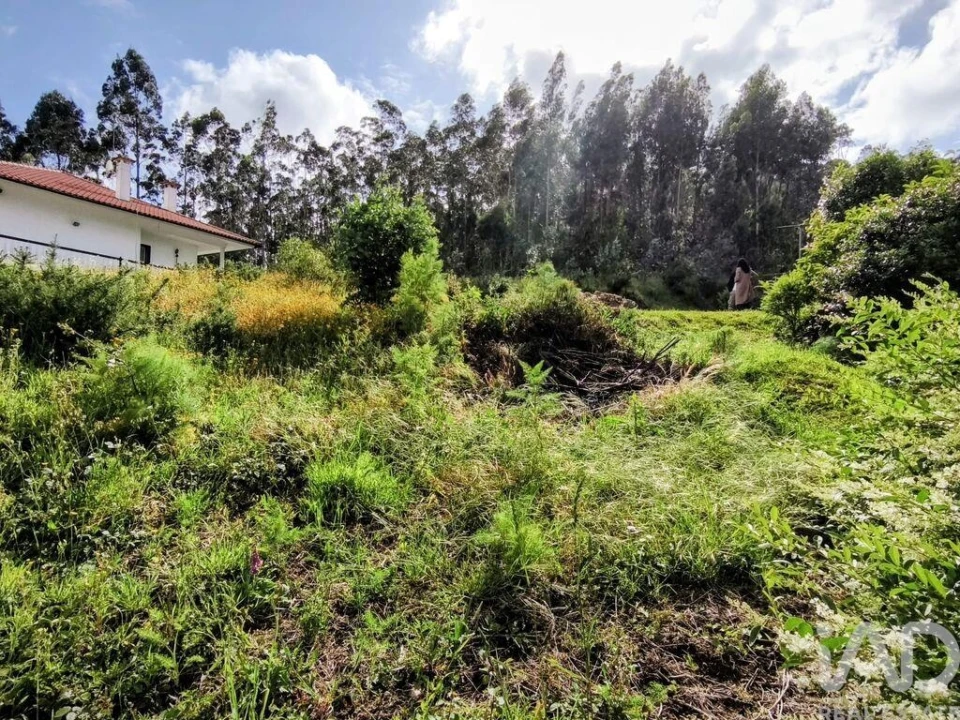 Terreno para Venda em Mujães Foto 5