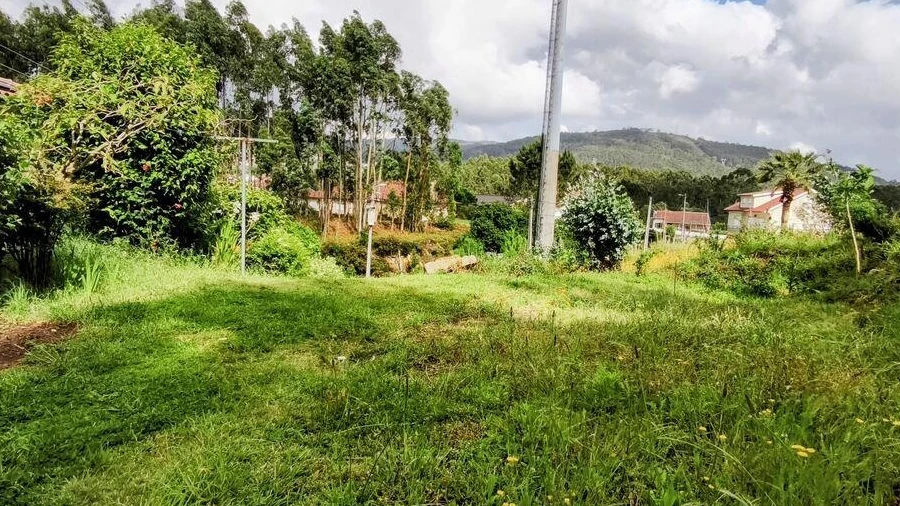 Terreno para Venda em Mujães