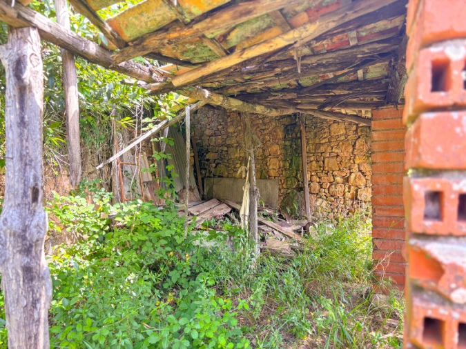 Moradia T3 para Venda em Eiras e São Paulo de Frades Foto 10