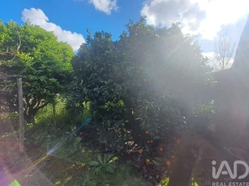 Terreno para Venda em Azueira e Sobral da Abelheira
