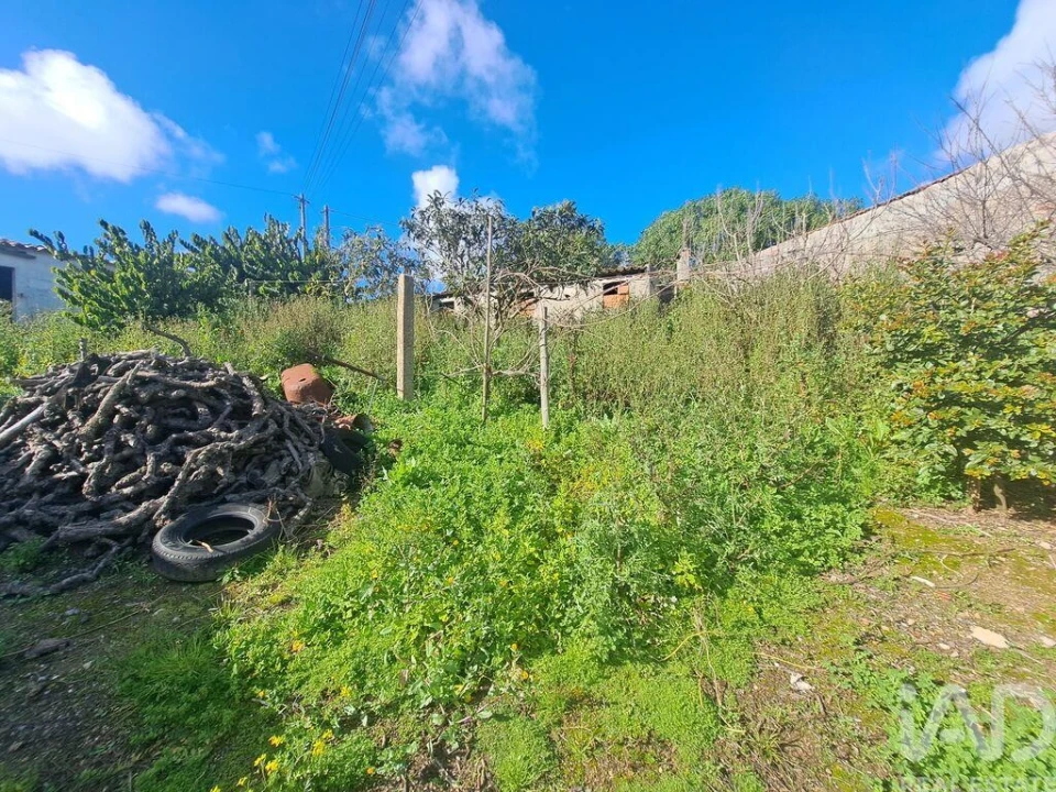Terreno para Venda em Azueira e Sobral da Abelheira Foto 13