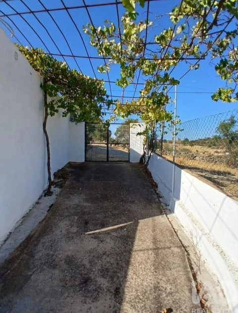 Quinta T4 para Venda em Martim Longo
