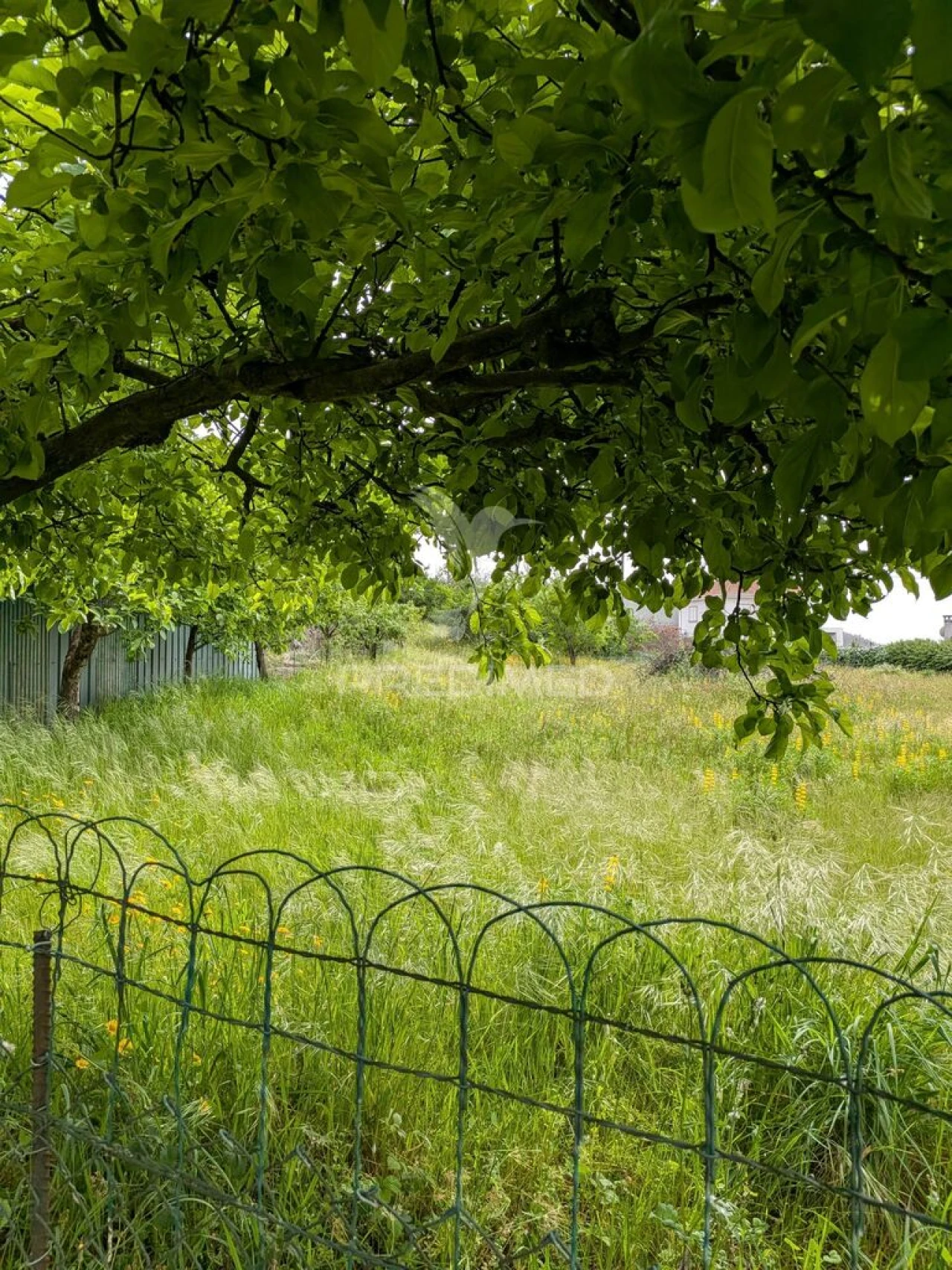 Quinta T3 para Venda em Monte Córdova Foto 18