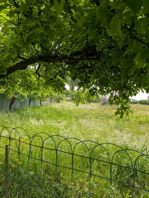 Quinta T3 para Venda em Monte Córdova