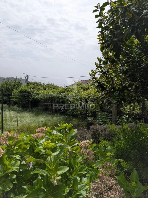 Quinta T3 para Venda em Monte Córdova