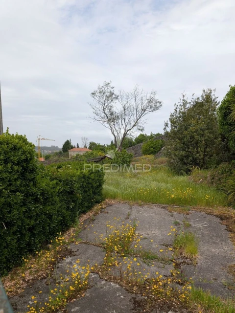 Quinta T3 para Venda em Monte Córdova