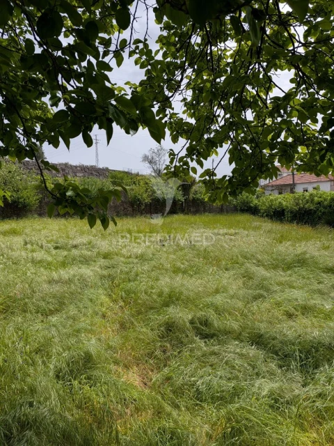 Quinta T3 para Venda em Monte Córdova