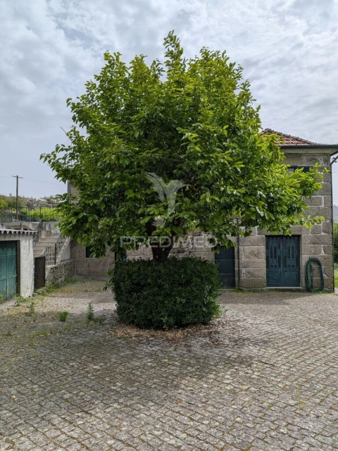 Quinta T3 para Venda em Monte Córdova